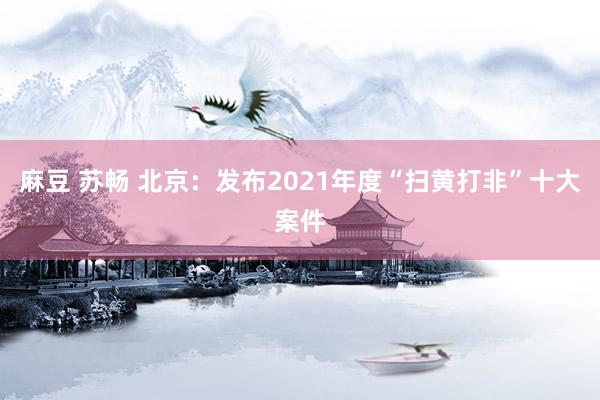 麻豆 苏畅 北京：发布2021年度“扫黄打非”十大案件