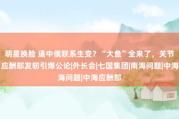 明星换脸 逼中俄联系生变？“大鱼”全来了，关节本领，应酬部发轫引爆公论|外长会|七国集团|南海问题|中海应酬部