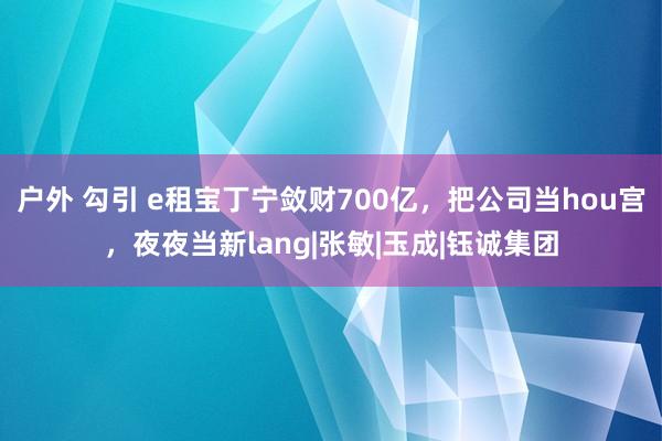 户外 勾引 e租宝丁宁敛财700亿，把公司当hou宫，夜夜当新lang|张敏|玉成|钰诚集团